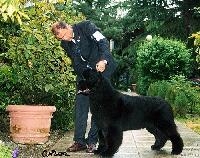 Miss Skipper's King of Helluland Miss Skipper's King of Helluland