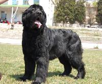 Bogdana Kara Deniz Bogdana Kara Deniz