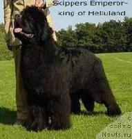 Skipper's Emperior King of Helluland Skipper's Emperior King of Helluland