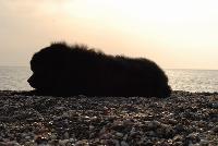 ������ �� �����?