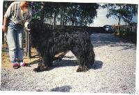 Olivie De La Uns Olivie De La Uns