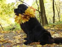 ����� ���������� 