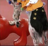 �������� ��������� ������ 