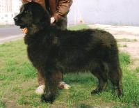 Naina Bolshoy Malish Naina Bolshoy Malish