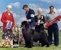 Pouch Cove's Candidate Pouch Cove's Candidate