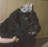 Aidana Bin-Biy Aidana Bin-Biy