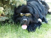 Akim iz Volotova Akim iz Volotova