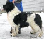 Toad Halls Lucky Day Toad Halls Lucky Day