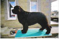 Mega Star King of Helluland Mega Star King of Helluland