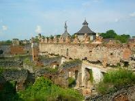 �����������-2009