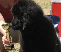 Pamella Almas-Alana Pamella Almas-Alana