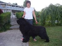 Skipper's New Wave King of Helluland Skipper's New Wave King of Helluland