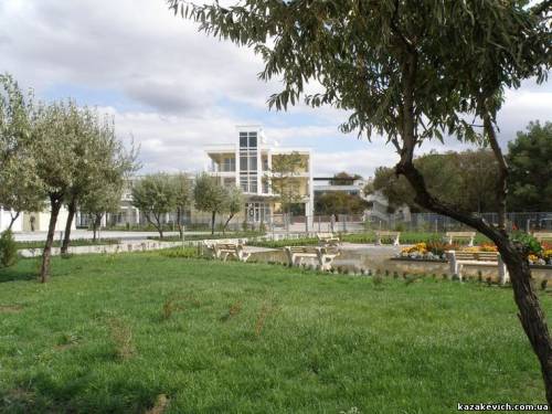 �����������-2009