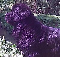 Maryana Bolshoj Malysh Maryana Bolshoj Malysh