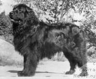 Gerogeest Attan Gerogeest Attan