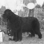 Tabu Seabrook Nobelle Prize Tabu Seabrook Nobelle Prize